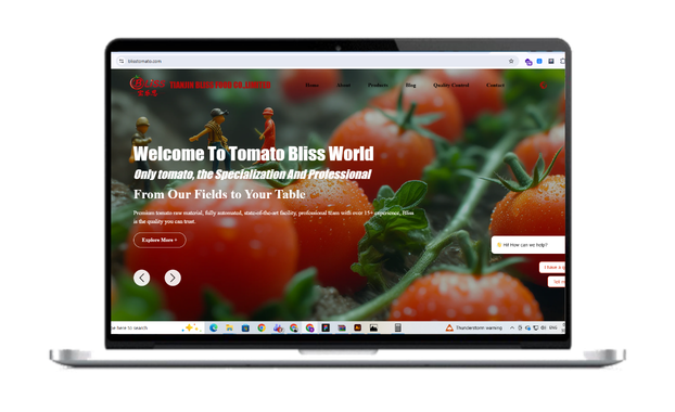 Tianjin Bliss Food Co., Limited